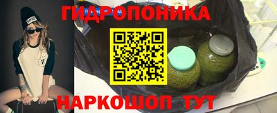 бошки Тара