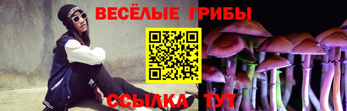 Ставрополь  Псилоцибиновые грибы MAGIC MUSHROOMS  Вход с VPN 